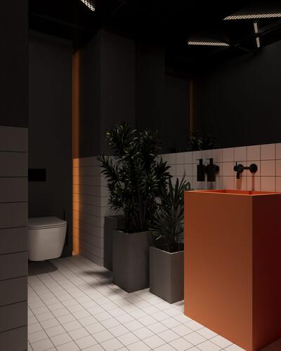 Санузел на первом этаже